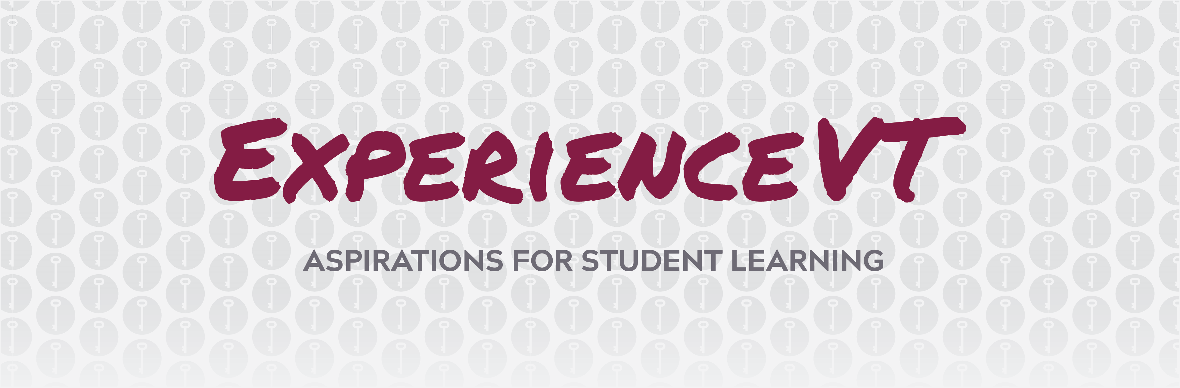 ExperienceVT - Aspirations for student leaning