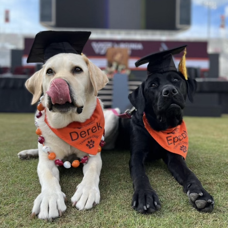 May: Therapy dogs Derek and Epcot, Photo courtesy of @vttherapydogs Instagram